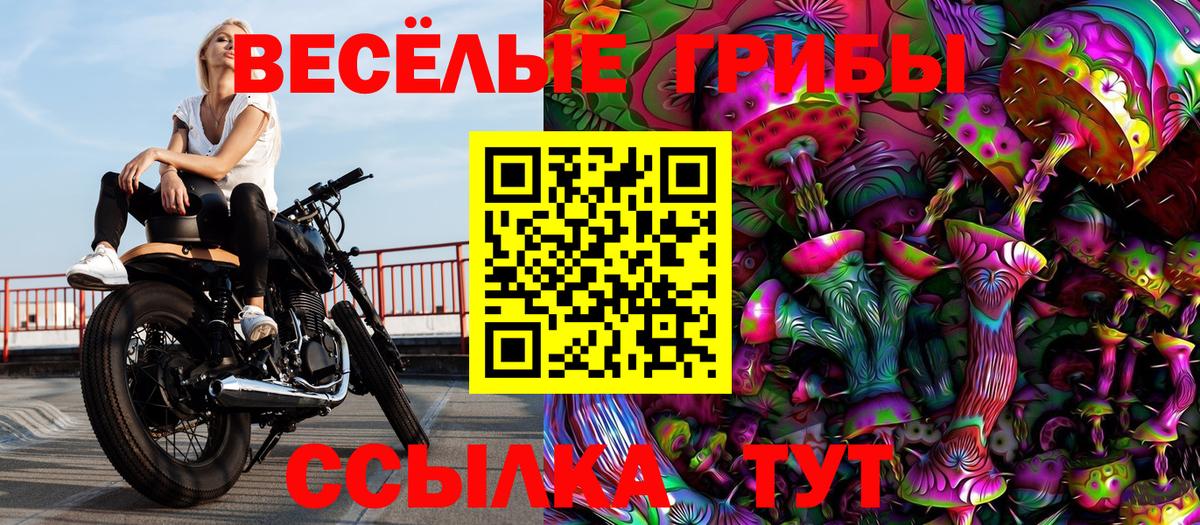 Галлюциногенные грибы Psilocybe  Вход с VPN  Соль-Илецк  Псилоцибиновые грибы MAGIC MUSHROOMS 